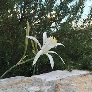 Ca' Di Bianca Affittacamere